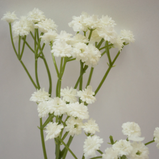 Gypso Colorec white 30cm
