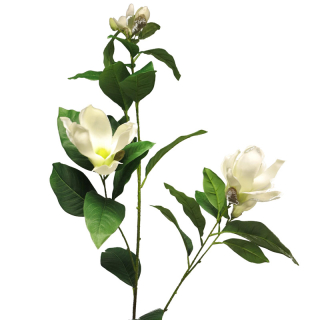 Magnolie - Magnolia grandiflora spray krémová / bilá V132 cm