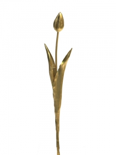 Tulipán pupen Sally 43 cm zlatý