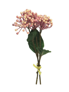 Hortenzie - Hydrangea vyběr pučící x3 fialová (mauve) V31 cm