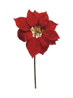 Vánoční hvězda (poinsettia) větev červená 38 cm