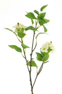 květ třešeň (spray) 'Lapins' zelený 78 cm