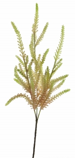 Tavolník 'Fantasy' (spray) růžová V70 cm