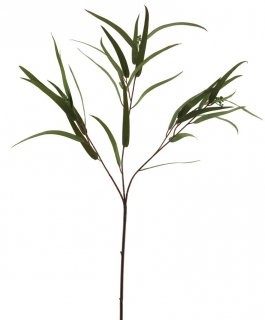 Blahovičník - Eukalyptus zrno (spray) zelený V81 cm