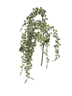 Modřin 'Indy' Lariks ojiněná s šiškami, Délka 80 cm zelená