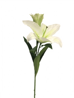 lilie-lilium Ruben x2 krémový 74 cm (N125480)