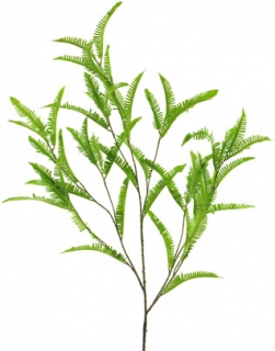 Kapradina (větev) zelená 123 cm  (N323561)