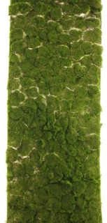 Mechová podložka 300 x 80 cm zelená  (N324211)