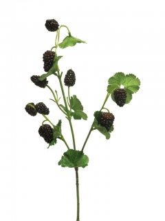 Malina černá (spray) V45 cm (N402909)