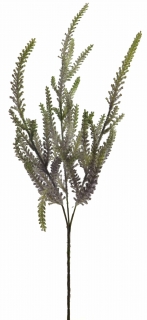 Tavolník Fantasy fialový v70 cm (N935816)