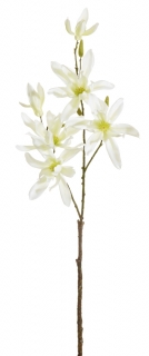 Magnolie japonská spray (x11) bílá v78 cm  (FB203935100)