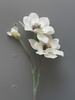 Magnolia ojíněná krémová x3 V40 cm