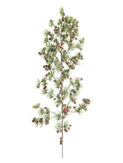 Borovice zasněžená japonská s červenými bobulemi V48 cm