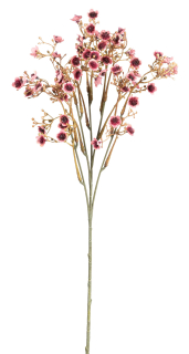Gypsophila větev (spray) x5 růžová V50 cm