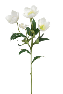Vánoční růže větev (spray) x4 V62 cm