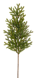 Borovice větev (spray) zelená V62 cm