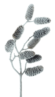 Borovice větev (spray)'Hildur' s sněhem hnědá V42 cm