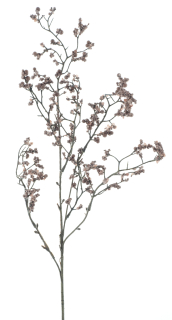 Gypsophila větev (spray) 'Mandy' hnědá V71 cm