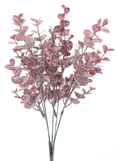 Blahovičník - Eukalyptus větev (spray) červený V36 cm