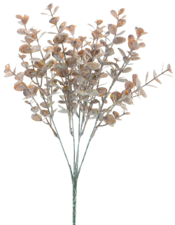 Blahovičník - Eukalyptus v ětev (spray) oranžový V36 cm