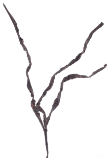 Stromová kůra větev (spray) tmavohnědá V104 cm