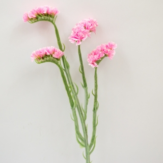 Limonka - Statice spray růžová 64 cm